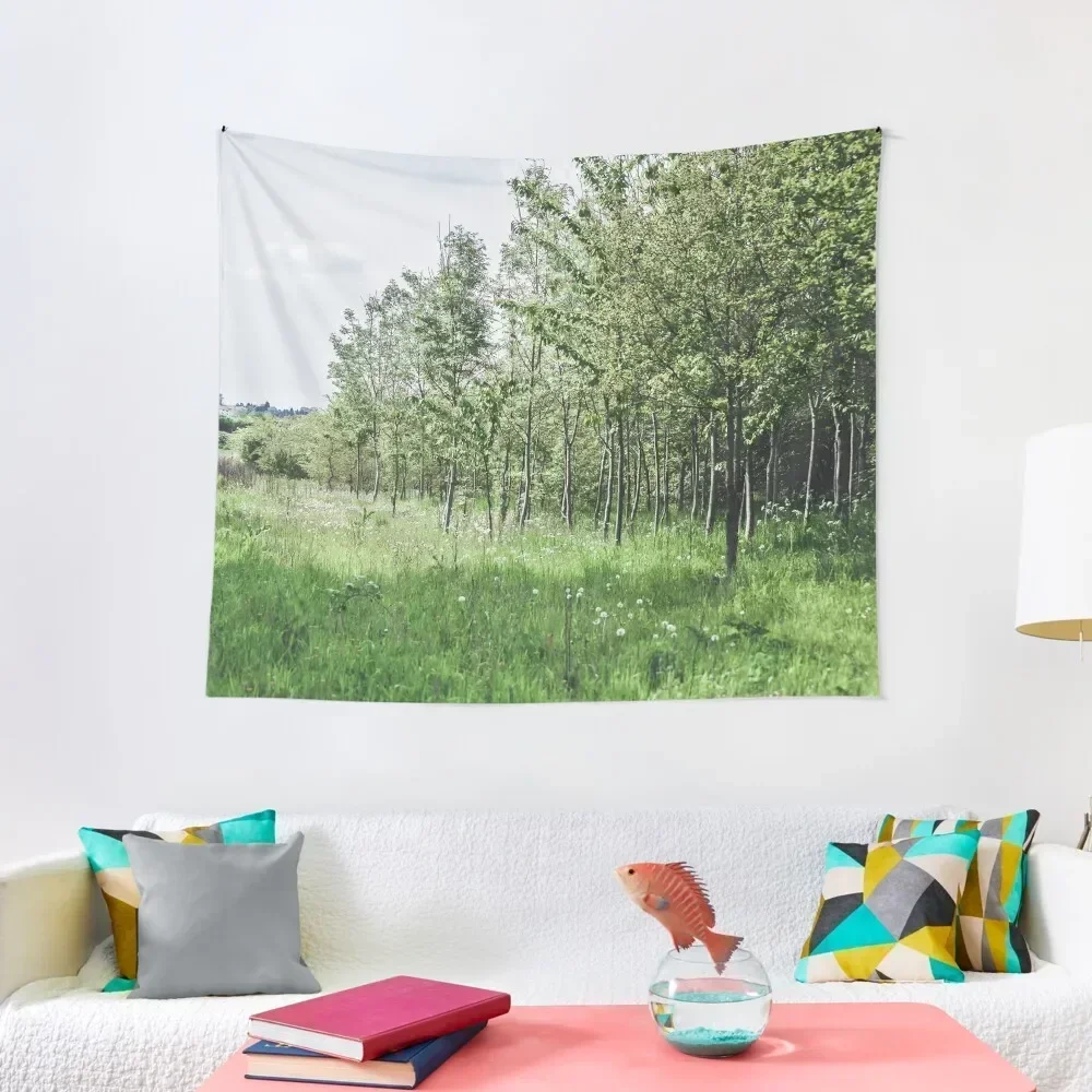 

Meadow Tapestry Decorative Wall Wall Decoration Items Wall Mural Home Supplies Tapestry