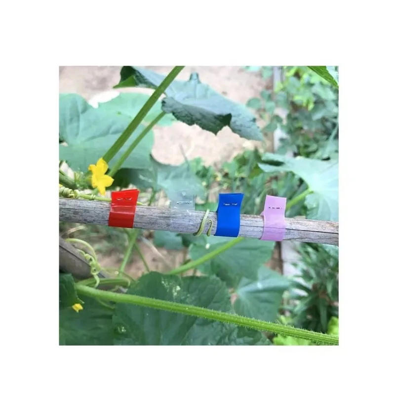 Legatrice portatile Legatrice a mano per rami