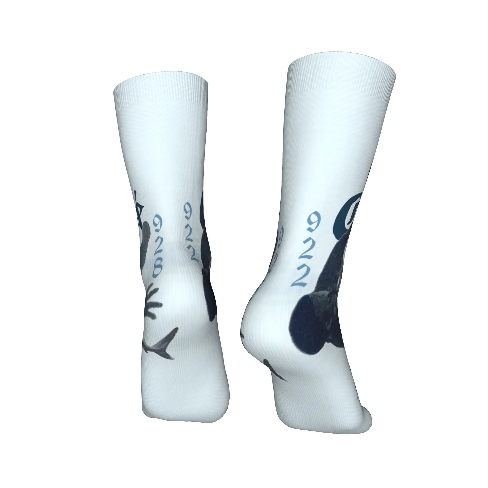 الإسبانية كيفيدو الموسيقى المغني الجوارب جوارب الموضة النساء الرجال لينة تنفس سكيت الجوارب الربيع تصميم عدم الانزلاق الجوارب #4