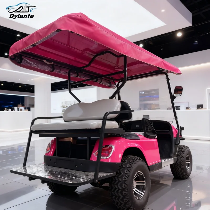 

Последний стиль, многофункциональная свинцово-кислотная батарея 60 В, 72 В и литиевая батарея, дополнительная электрическая тележка для гольфа с питанием