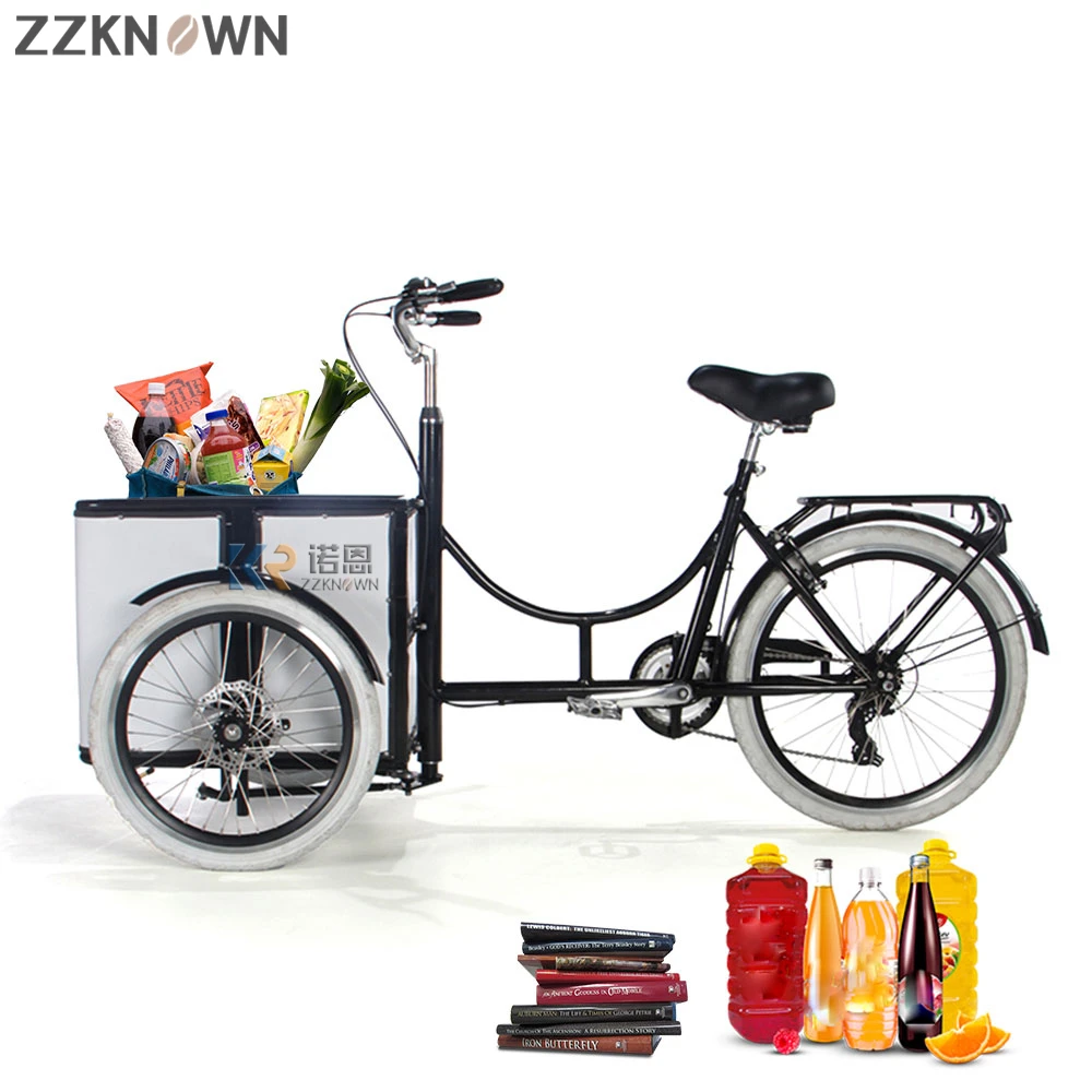 2022 New Design Family Cargo Tricycle  Electric Three Wheeler Cargo Bike Tourney 6 Speeds Cargo Trike Tourism Leisure bike