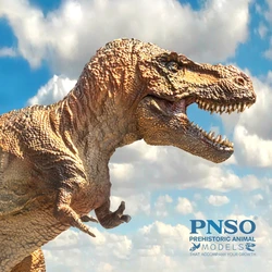 Pnso先史時代の恐竜モデル: 25以下のt-rex