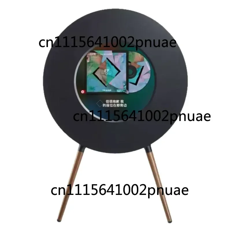 R1 record lyrics speaker vinyl floating subtitles bluetooth stereo home living room stereo denmark