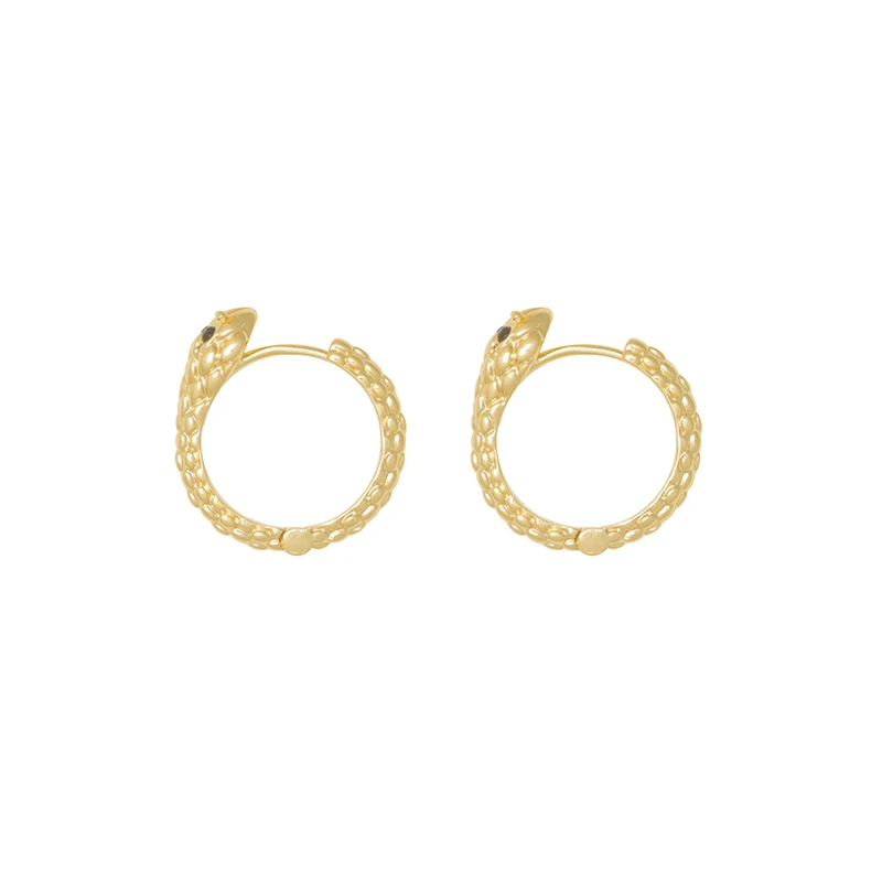 

Niche simple personality high-end earrings trendy cool ear buckles cold wind fashionable woman