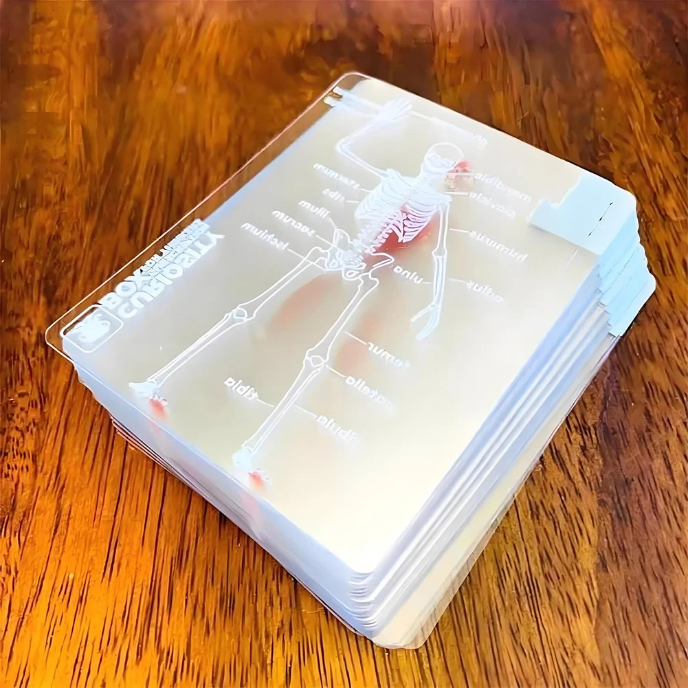 Carte da gioco The Body Deck Immagine 3D Carte da gioco riutilizzabili trasparenti Carte da gioco multiuso per anatomia umana per regali educativi