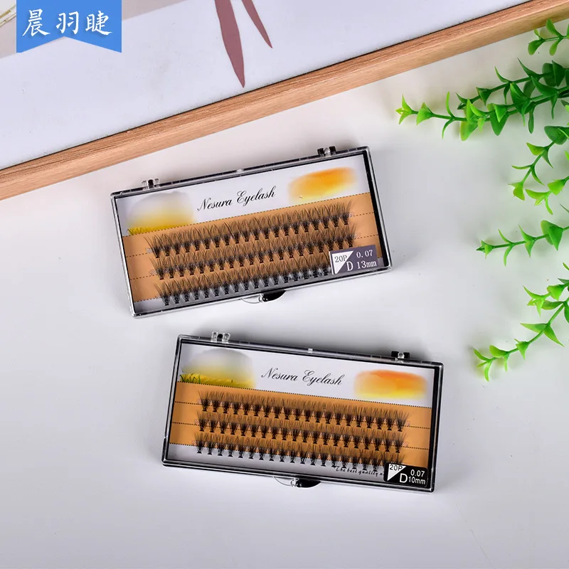 20D/C cils de vison 1 boîte/60 paquets Extension de cils naturels russie cils individuels grappe outils de maquillage cils cils