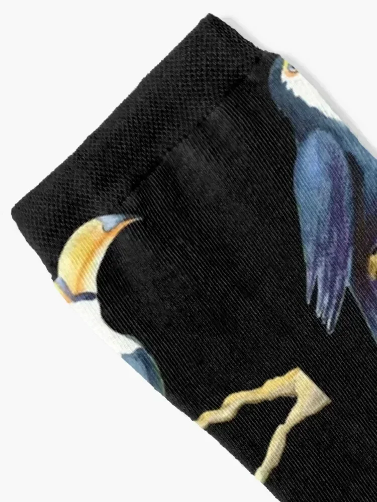 Watercolor Toucan on the branch on the black background Socks anime Sports japanese fashion compression Boy Child Socks Women's