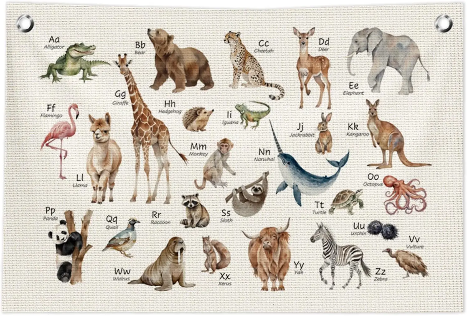 Flagicts 100% Polyester ABC Alphabet Educational Canvas Flags