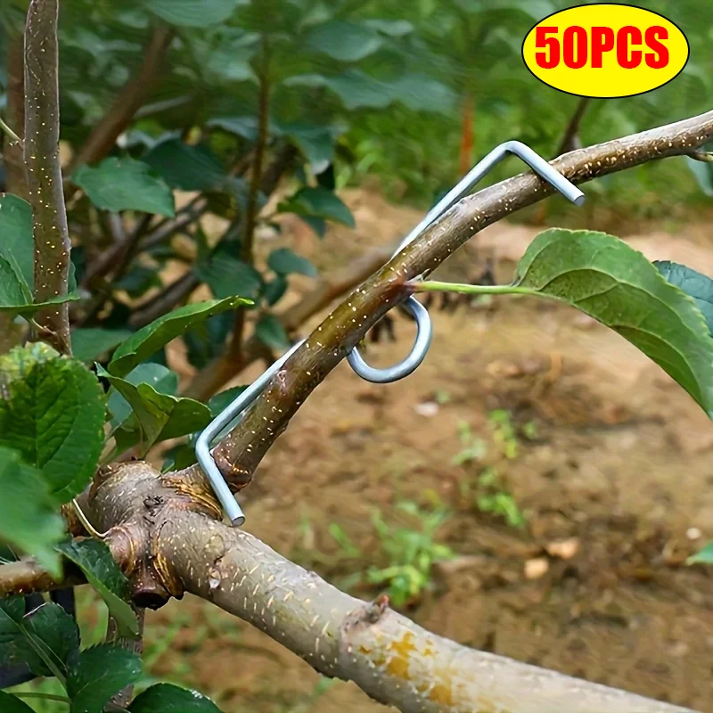 kit-de-ferramentas-para-dobrar-galhos-de-Arvores-frutiferas-50-pecas-ferramentas-manuais-para-modelagem-e-expansao-de-galhos-ferramentas-para-cultivo-de-plantas-em-pomares