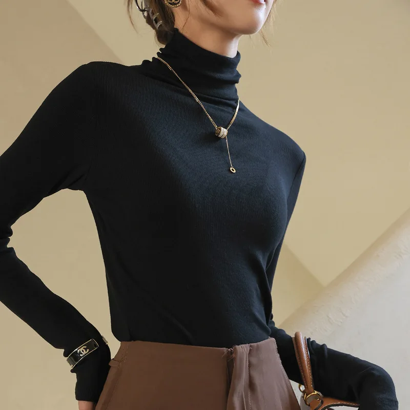 

Women's Slim Fit Turtleneck Sweater Knit Top Long Sleeve Modal Autumn Winter