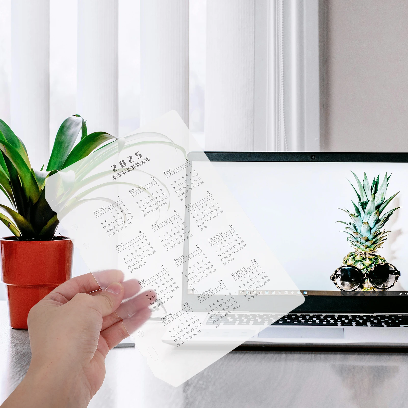 

10pcs Calendar Dividers Planner Inserts PP Transparent Binder Pages Notebook Monthly Refills Yearly Shelf Barrier Tabs
