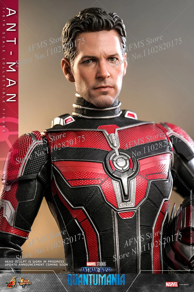 HOTTOYS MMS690 1/6 Scale Collectible Figure Paul Rudd Ant-Man and the Wasp：Quantumania 12Inch Men Soldier Action Figure Model