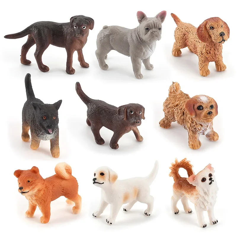 Simulation Education Toy Poultry Animal Cute Dog Figurines Animaux Shiba Inu Collie Teaching Aids Ornament Early Childhood Model