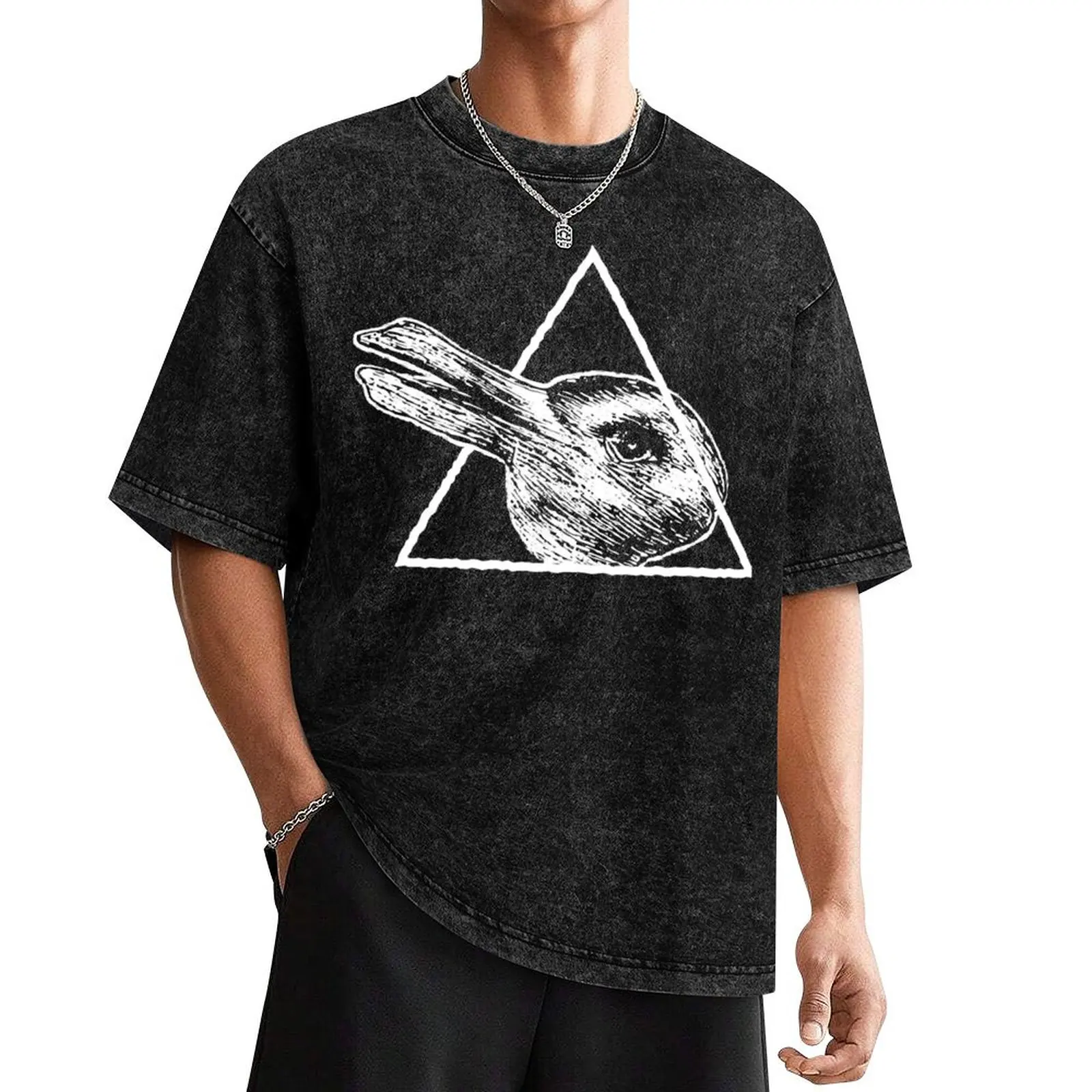 The Rabbit-Duck Illusion - Philosophy Wittgenstein Design T-Shirt man clothes tees Louboutins T-shirt men