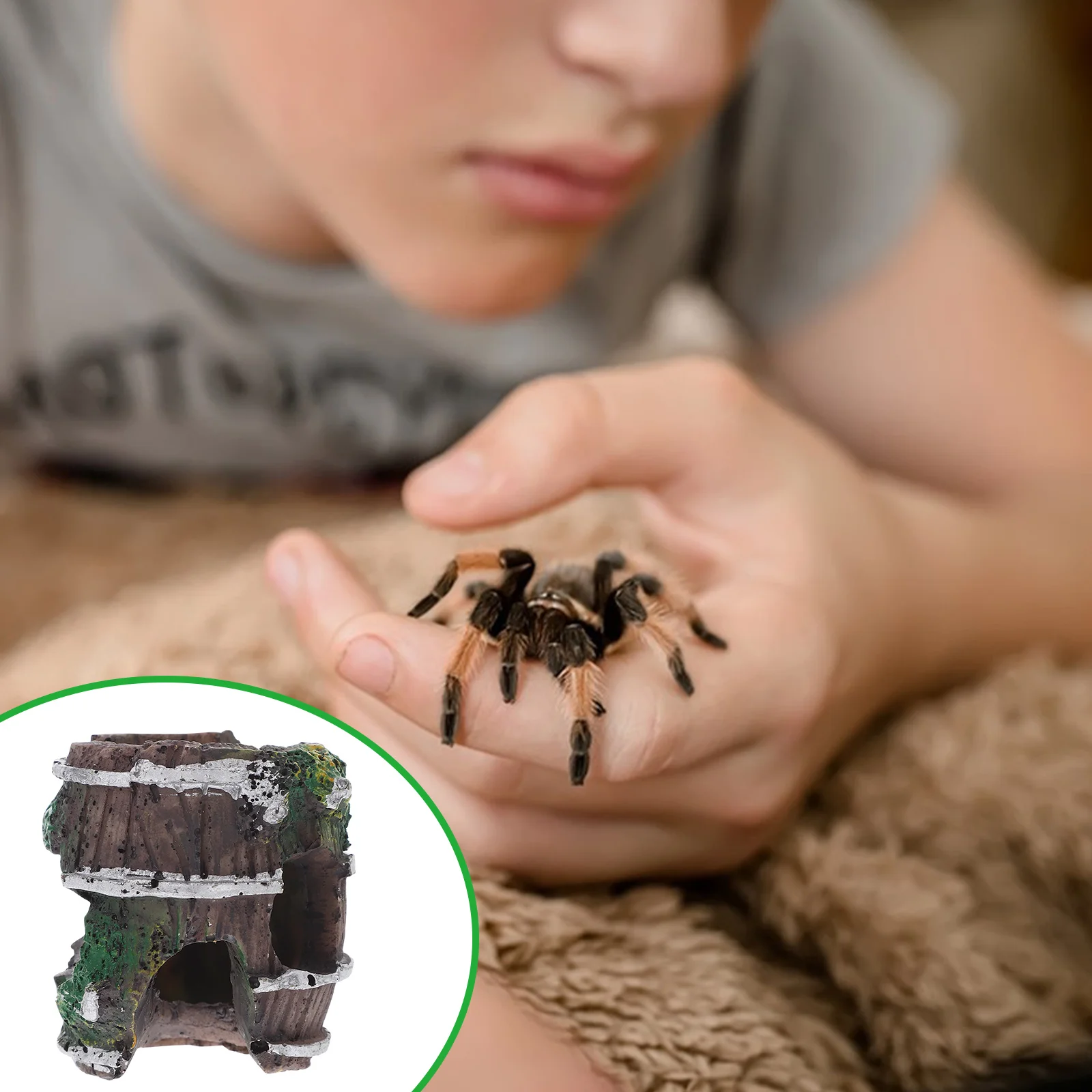 

Little Spider Hiding Cave Aquarium Decor Shrimp Hide Caves Gecko Hides Fish Tank Spawning Abs Hideout Small Spider Box Scorpion