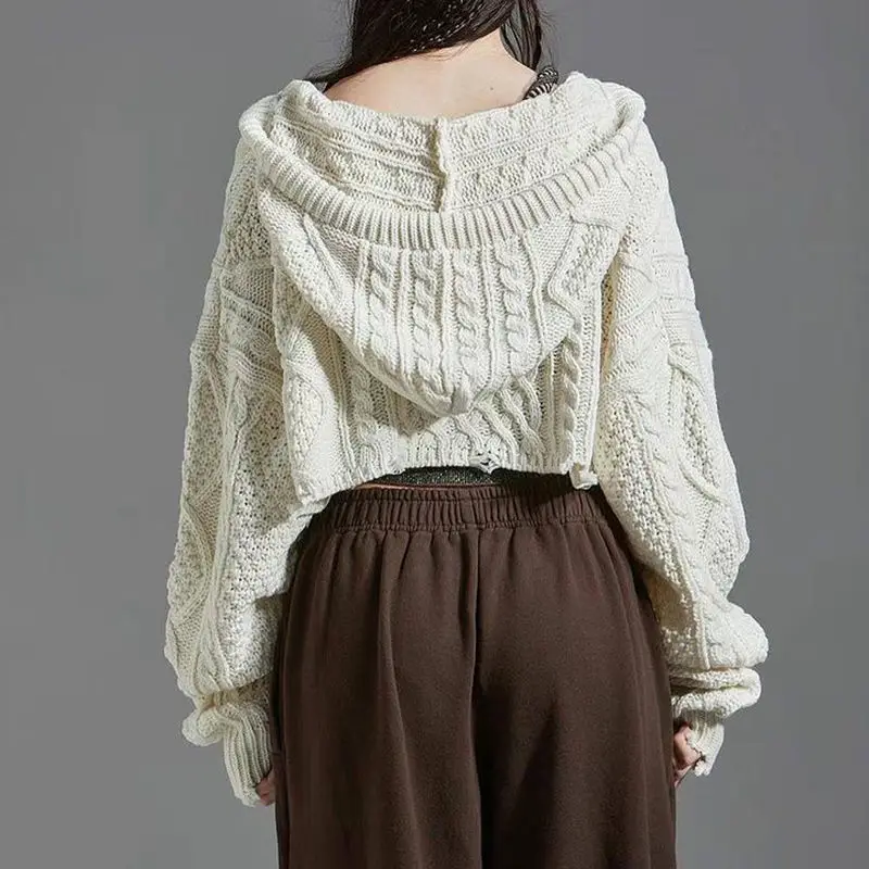 Short Sweaters Crop Hooded High Quality Zipper Vintage Women Korean Fashion Knitted Cardigan Loose Casual Knitwear Autumn Winter