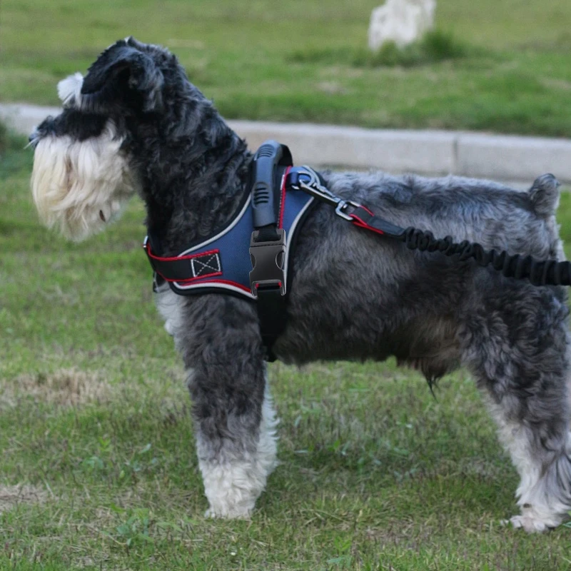 قابل للتعديل حزام مشبك على ظهره الكلب الحيوانات الأليفة الجر حبل ظهره حزام السنانير DIY بها بنفسك الملحقات فصل الجانب السريع الإصدار سبيكة مشبك