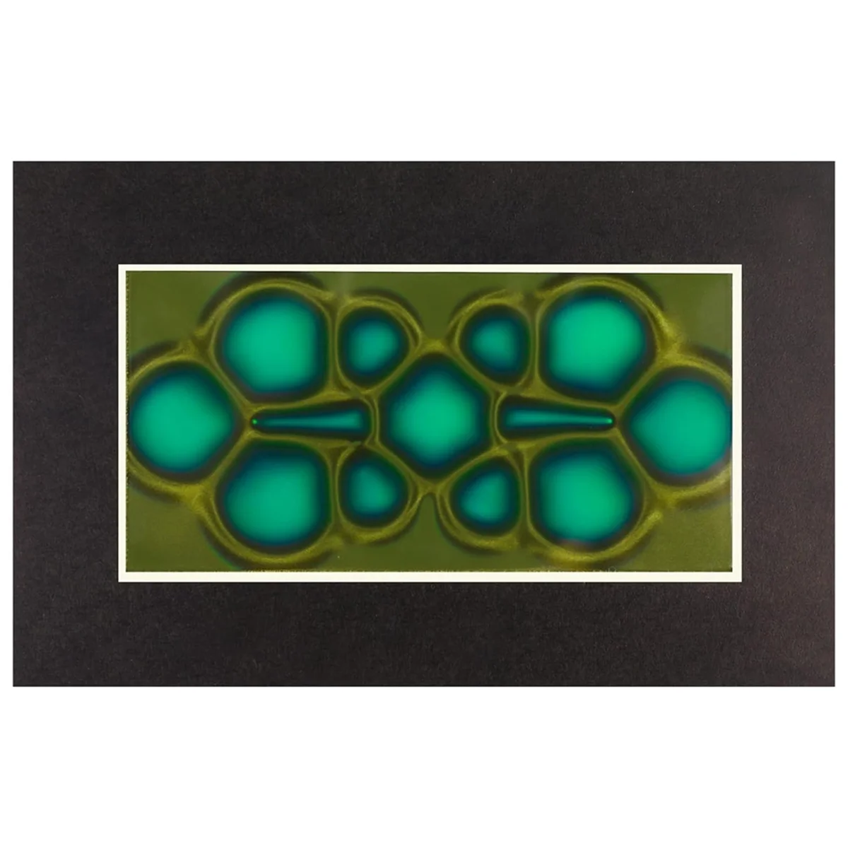 Newest  Magnetic Viewing Film, 2inchx 4inch Magnetic Field Viewer for Scientific Projects,Reusable and Automatic Recovery