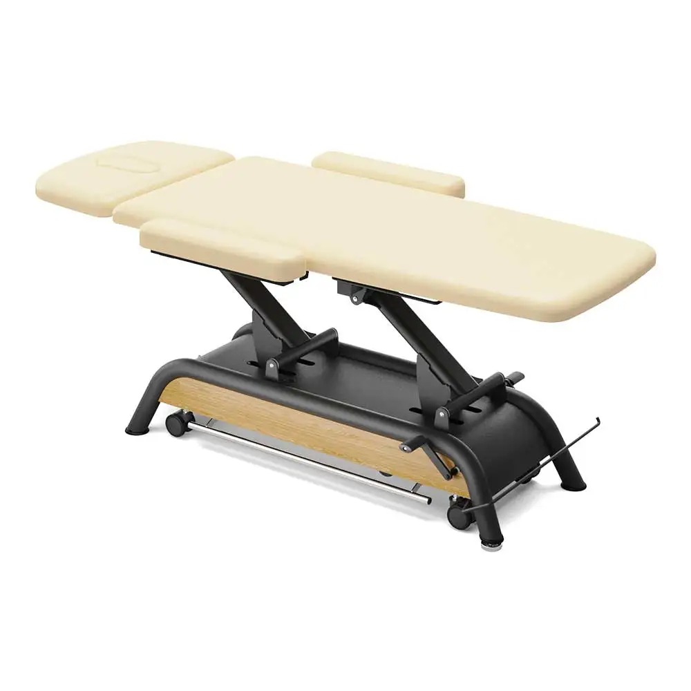 Milton Basic Manufacture Professional 2 Section Adjustable Apoplexy Physiotherapy Table Examination Table Treatment Bed Electric