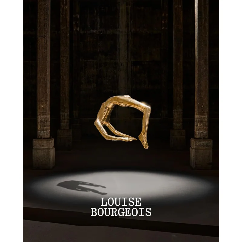 

Луиза Bourgeois EvaMaria FahrnerTursek Галерея искусства Нового Южного Уэльса 9781741741681 Книга