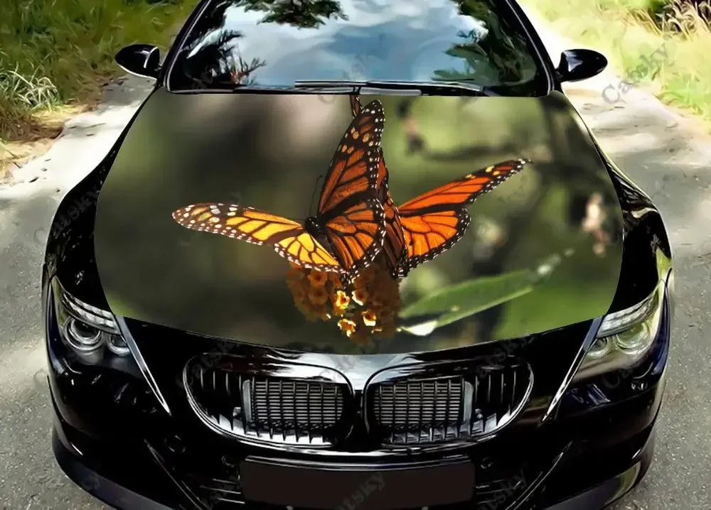 

Виниловые наклейки на капот автомобиля с бабочкой, обернутые пленкой из ПВХ, наклейки на капот, обычные автомобильные модифицированные защитные наклейки на капот