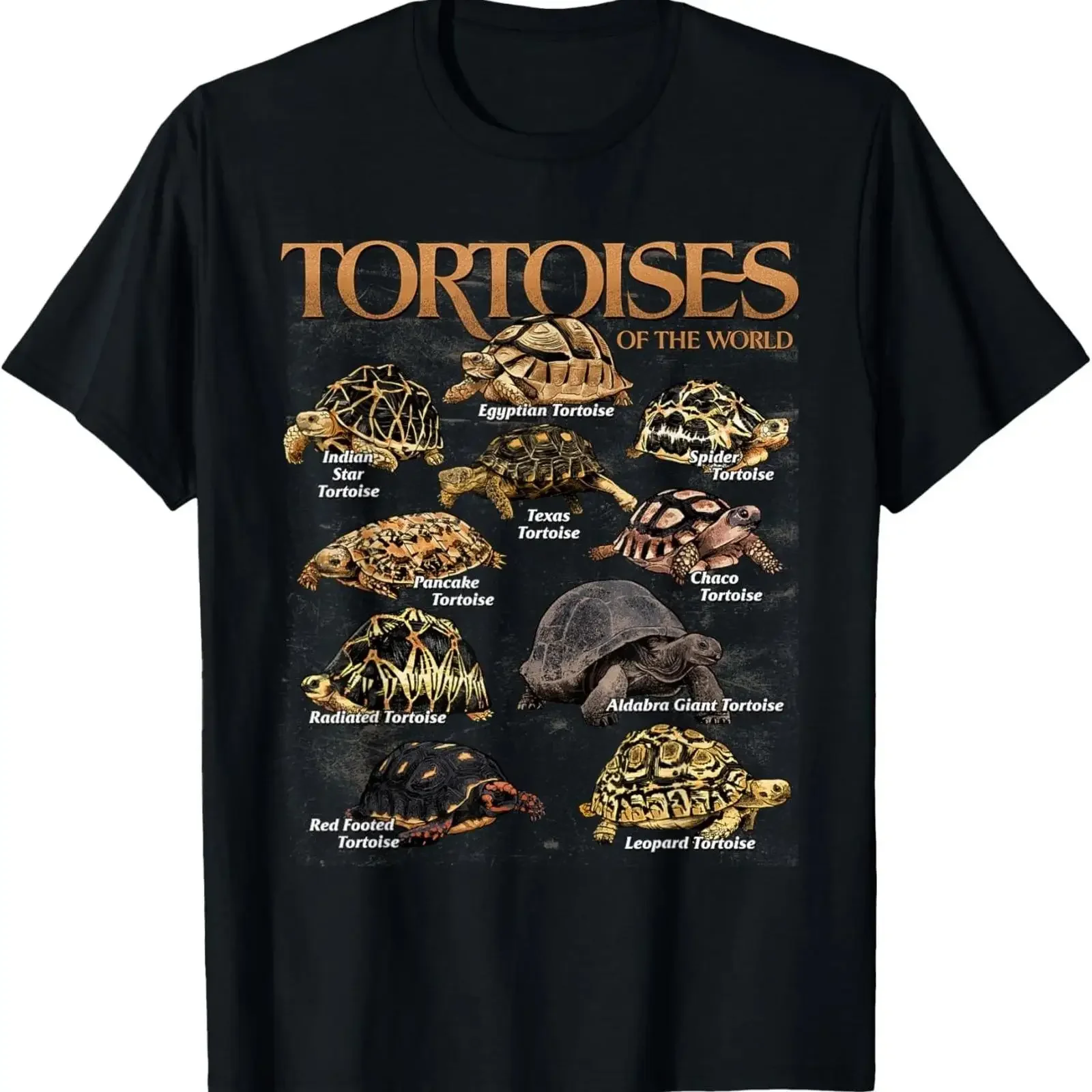 Tortoises Animals of The World Educational Sea Turtle Lover T Shirt vintage Washed homme Breathable Unisex Stylish Comfortable