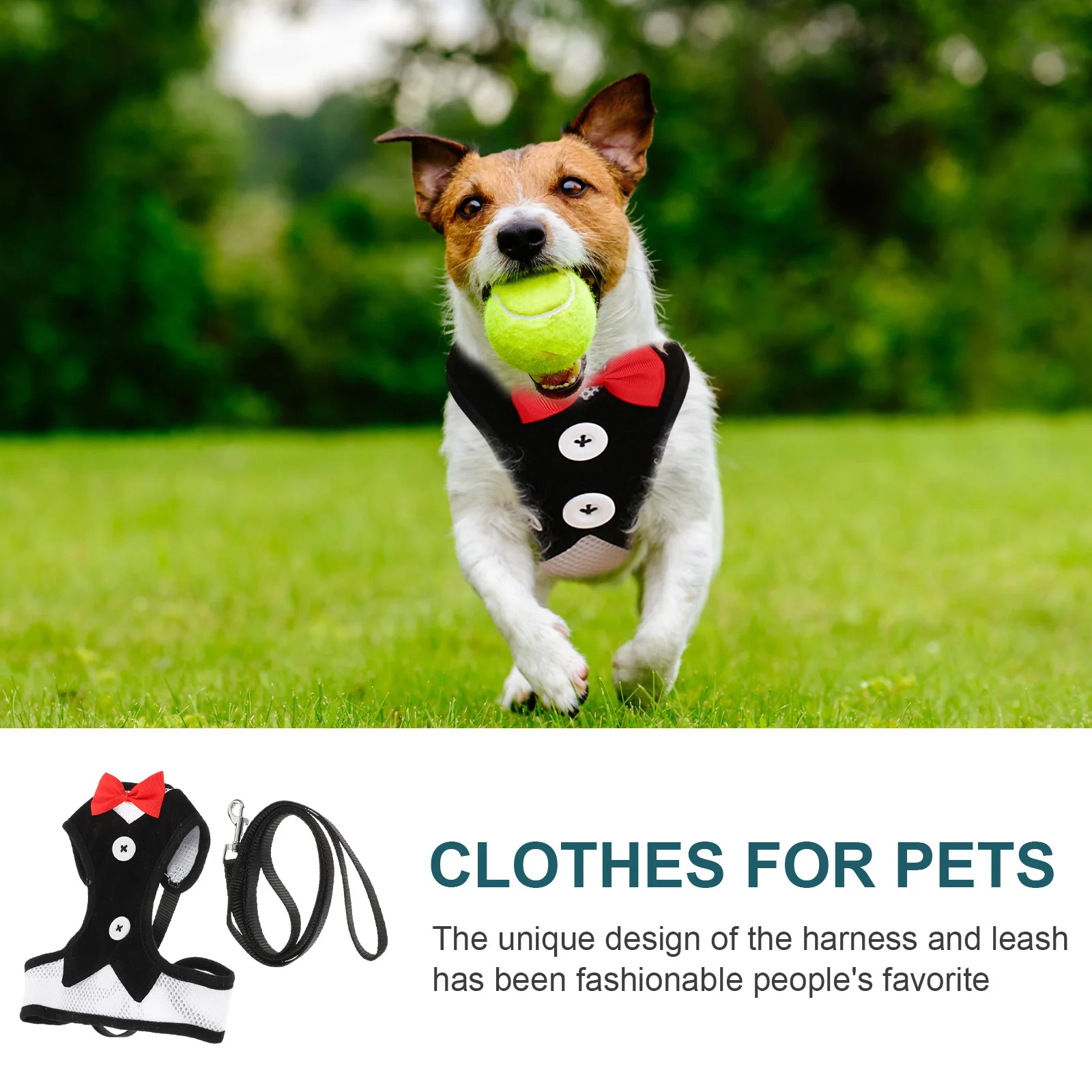 

1 Set Pet Dog Harness Leash Small Medium Traction Vest Chest Strap Walking Training Outdoor Accessory For Puppy Lovely Bow Tie