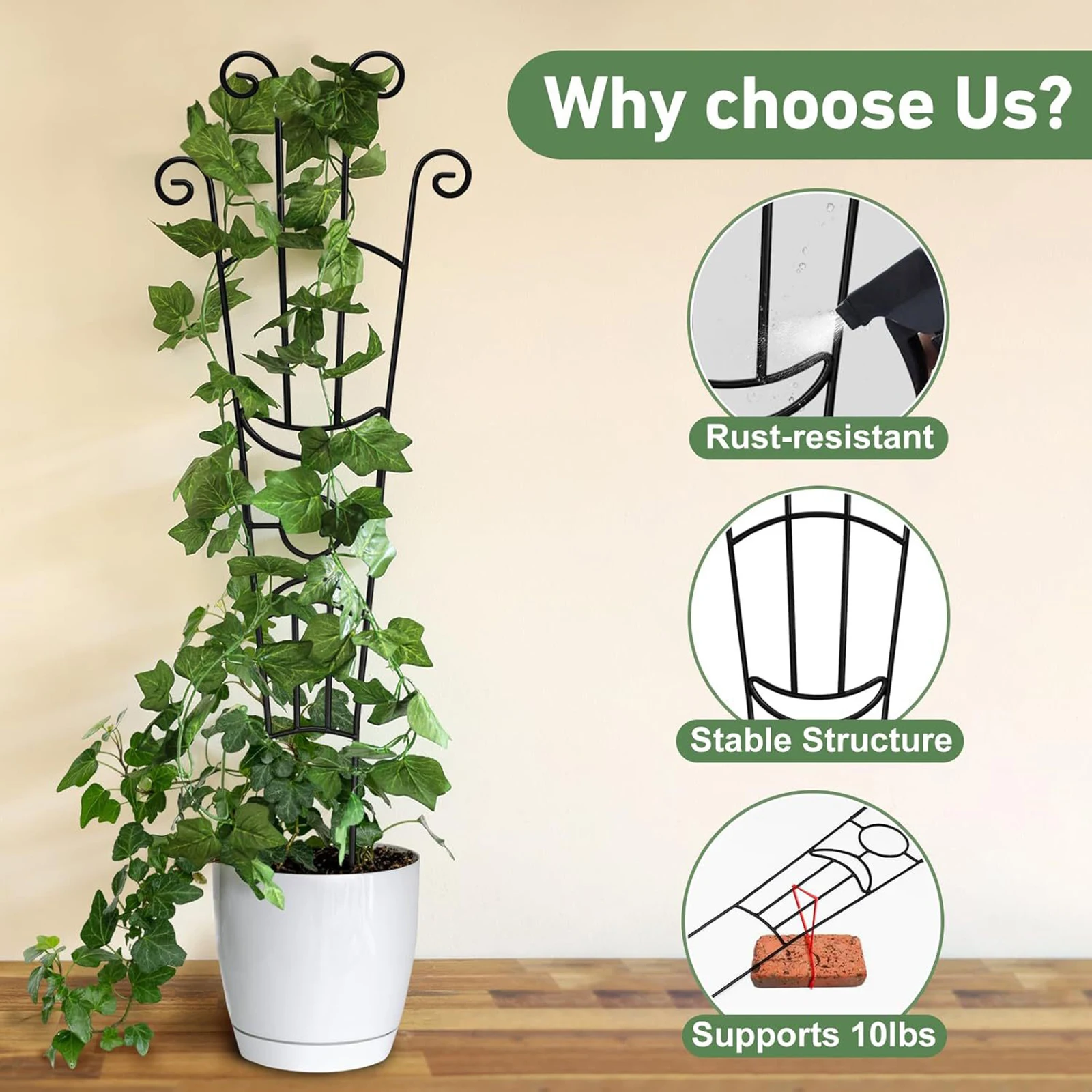 Creative Grid Plant Support Stand Sturdy Rust-Proof Frame for Garden Greenery-Climbing