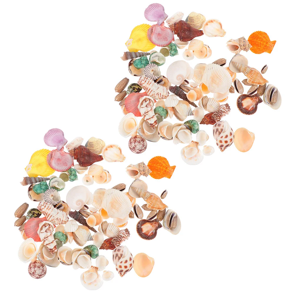 

160 Pcs Fish Tank Decor Ornament Aquarium Accessory Decorative Shell Crafts Natural Shells