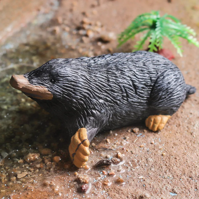 Mini Mole Figurines Model Collection Party Favor Miniature Animal Toys Realistic Detailed Action Figures for Children Kids