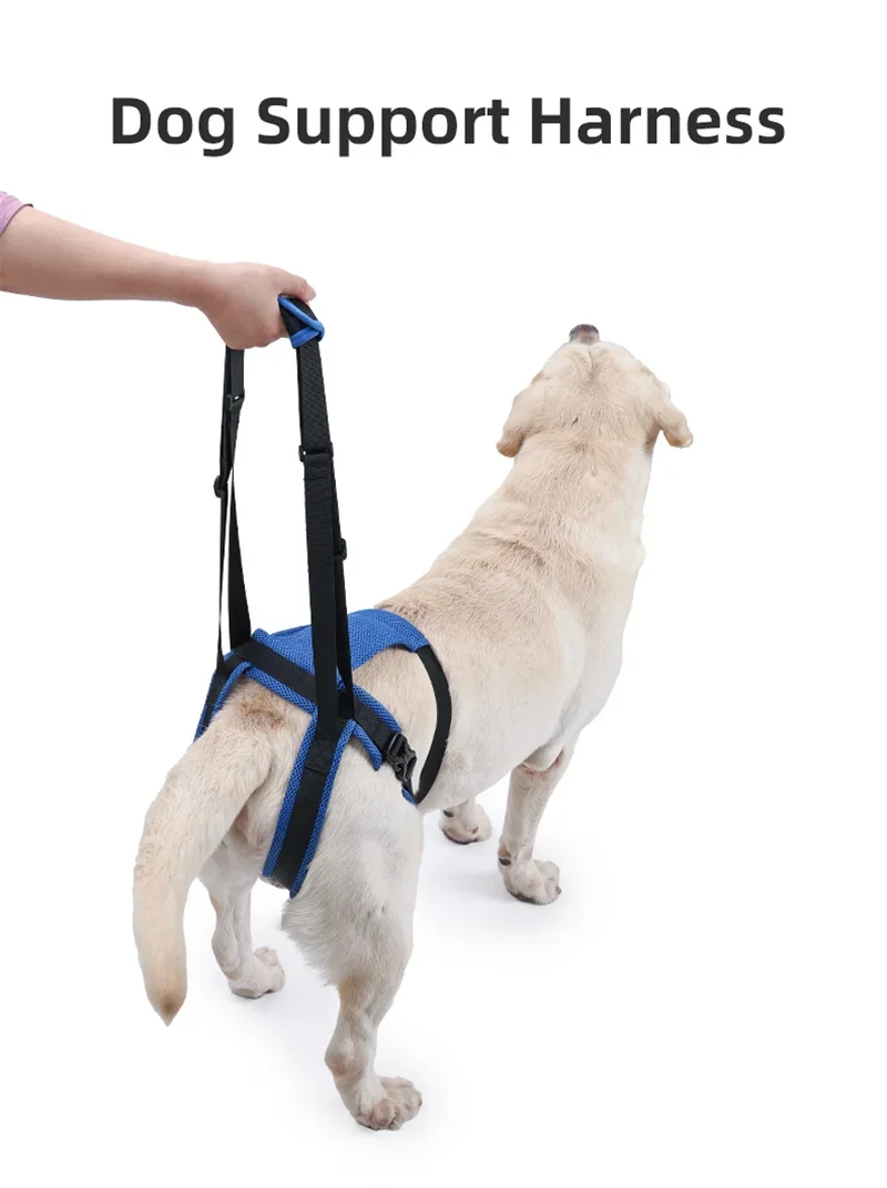 New Upgraded Dog Rear Leg Support Harness Adjustable Pet Lift Sling for Injured Disabled Elderly Dogs Walking Assistance Supply