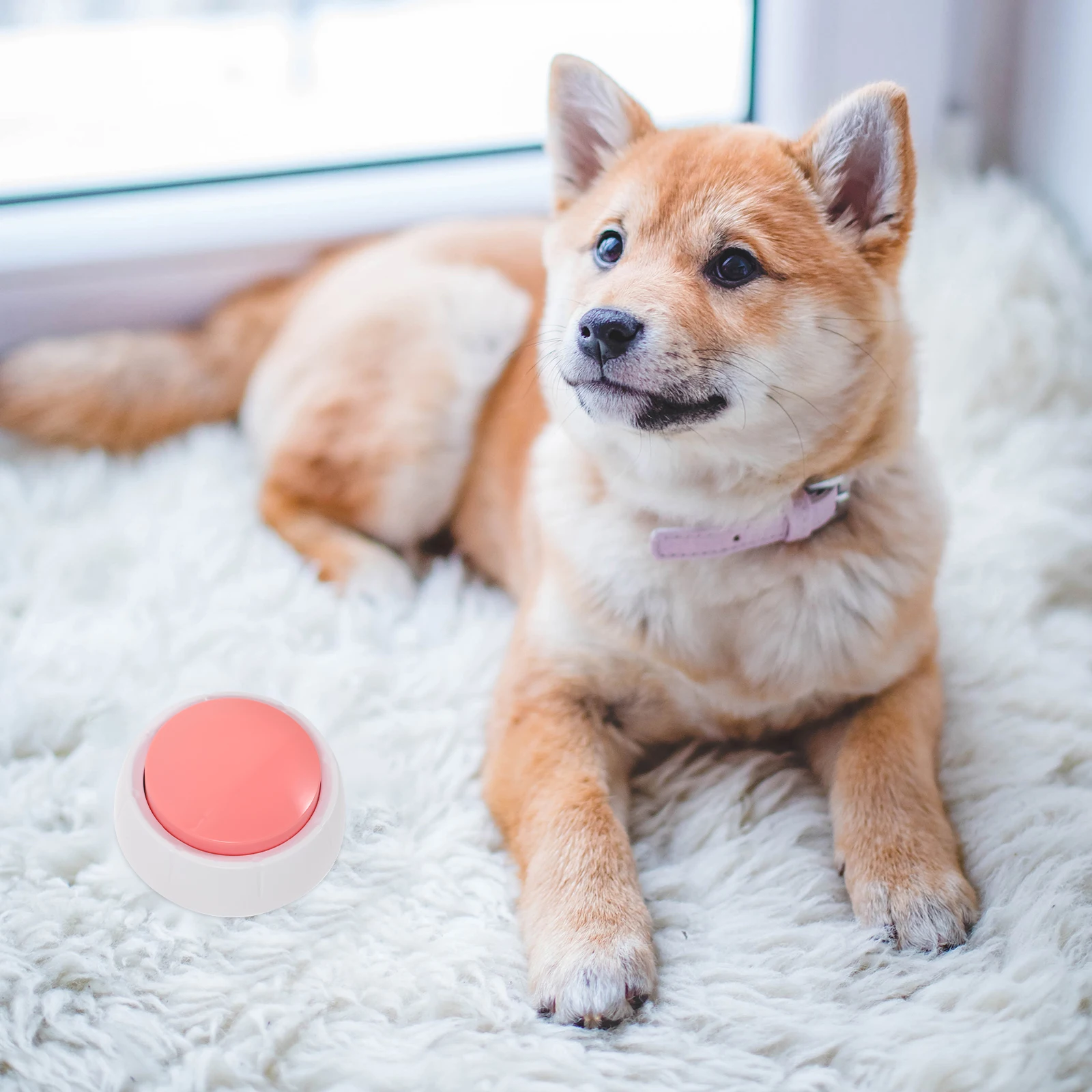 

1Pcs Pet Training Button Recordable Communication Device for Dogs and Cats Durable PP Material Realistic Appearance Attract Pet
