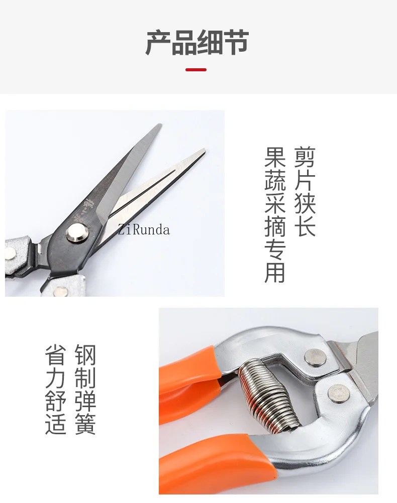 ~Fruit thinning scissors picking grapes fruit warping head gardening scissors bonsai pruning pruning tools