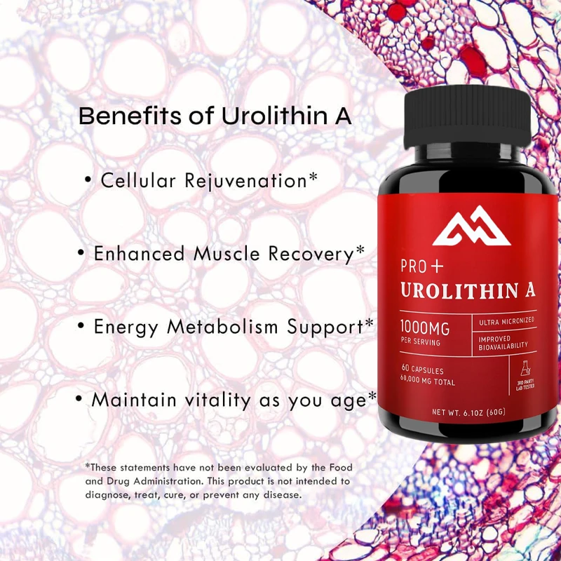 Urolithin A Capsules -1000 mg, 60 capsules for advanced cellular health and vitality, healthy aging, 60000 mg ultrafine powder