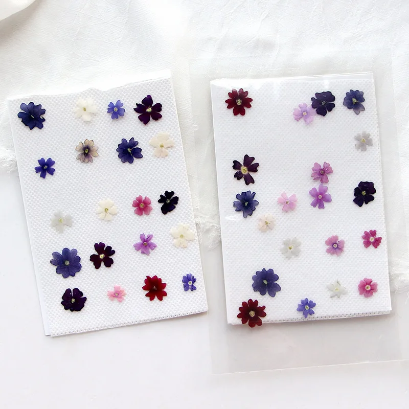 

100pcs Pressed Dried Mixed Verbena hybrida Flower Herbarium For Resin Epoxy Jewelry Card Bookmark Frame Phone Case Makeup Lamp