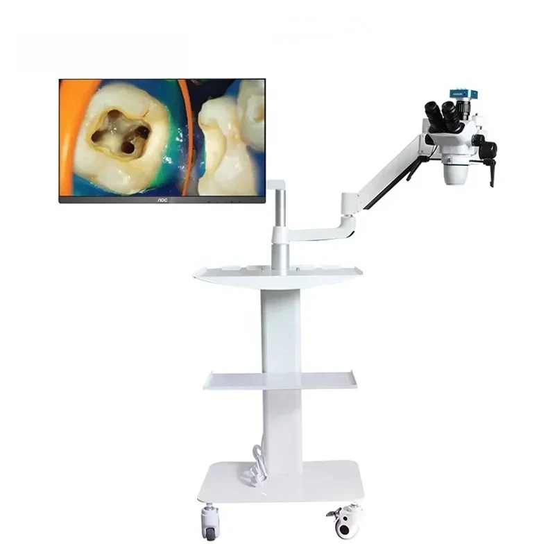 Cheap Portle Zumax Microscope with LED Light Sourc and Long Working Dnce