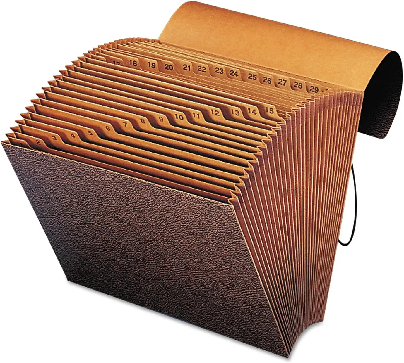 

31-Pocket Expanding File with Flap & Cord Closure, Letter Size, Redrope for Daily Organization