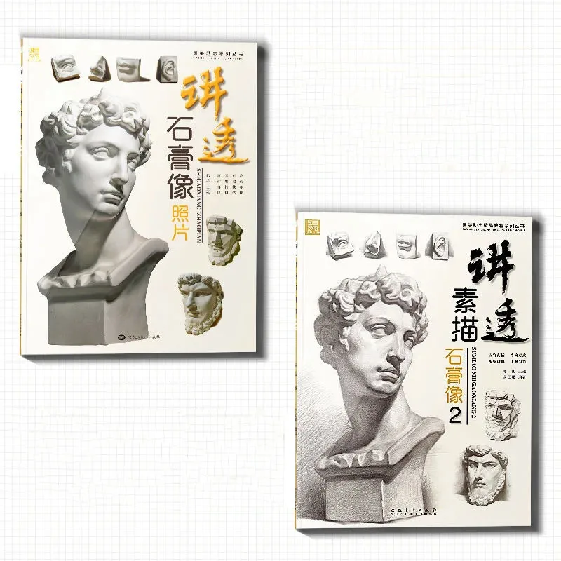 

Mastering Plaster Bust Drawing: Complete Guide to Sketching from Photographs (120 Pages, Step-by-Step Tutorial)