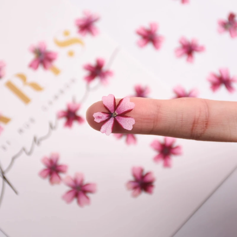 12 Stück, Lutscher Eisenkraut gepresste Blumen, getrocknete Blumen für DIY-Bastelbedarf, Nagelkunst-Dekor, Harzschmuck, Handyhüllen-Dekoration – Detail 4