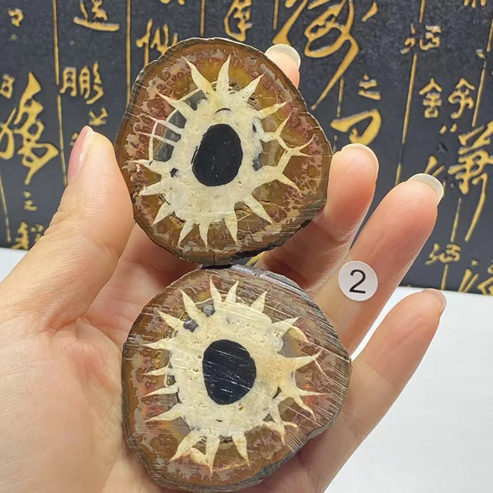 Z1 Natural Quartz C…