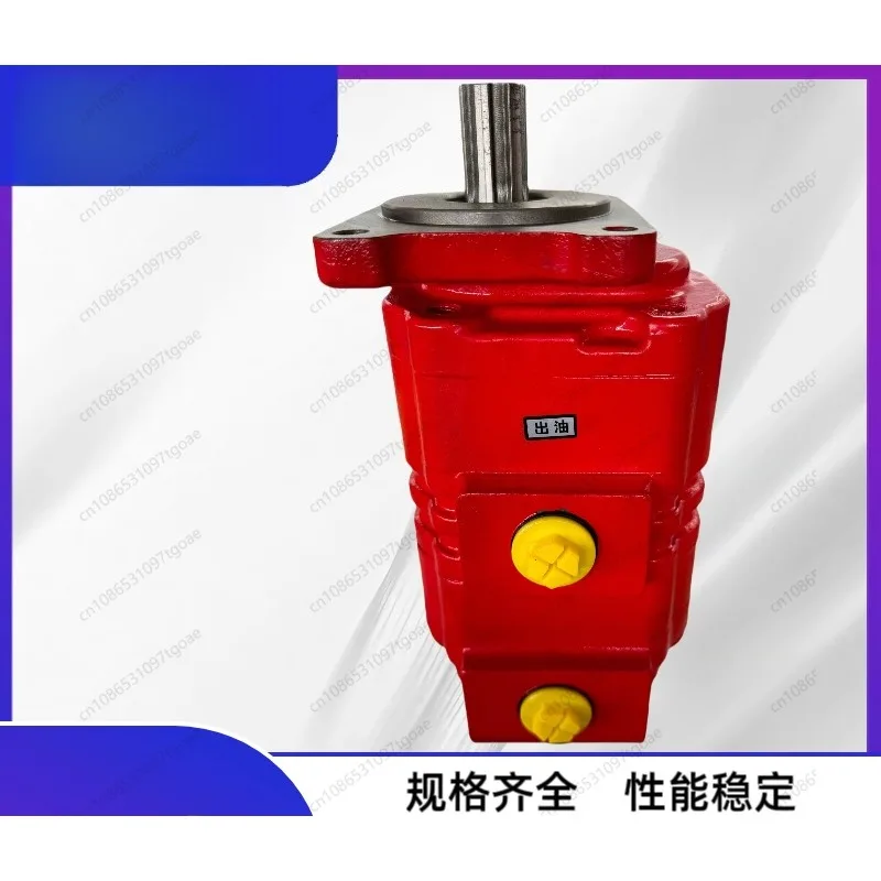 Hydraulic gear pump Special gear pump for truck crane/crane/drilling rig