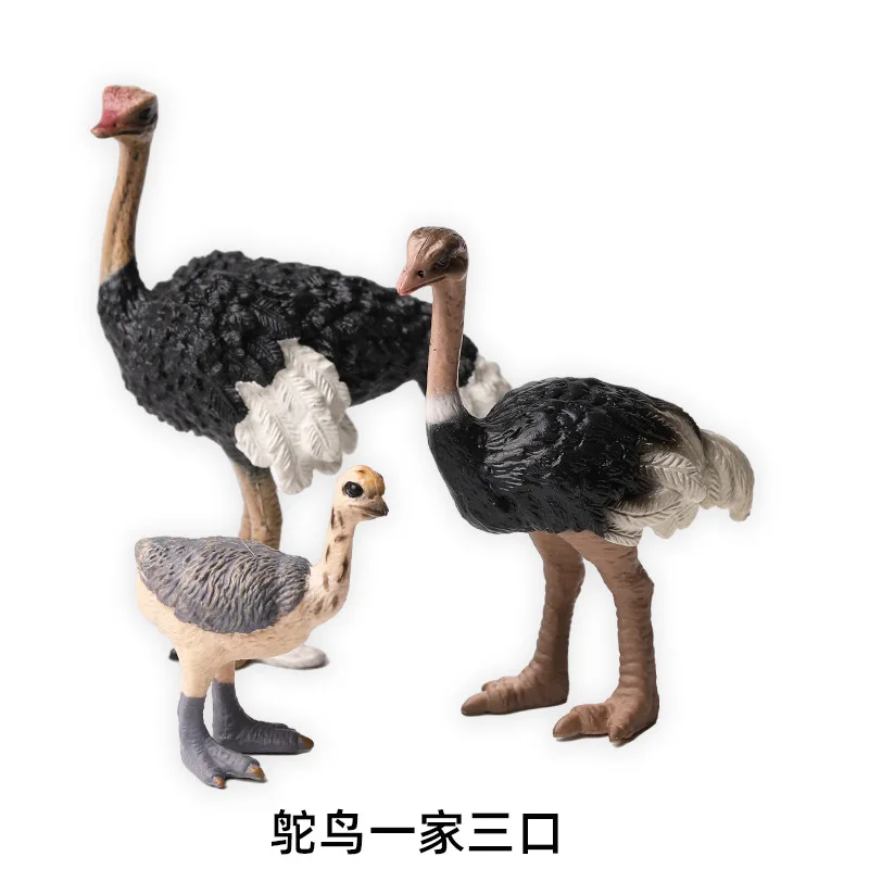다크 카키