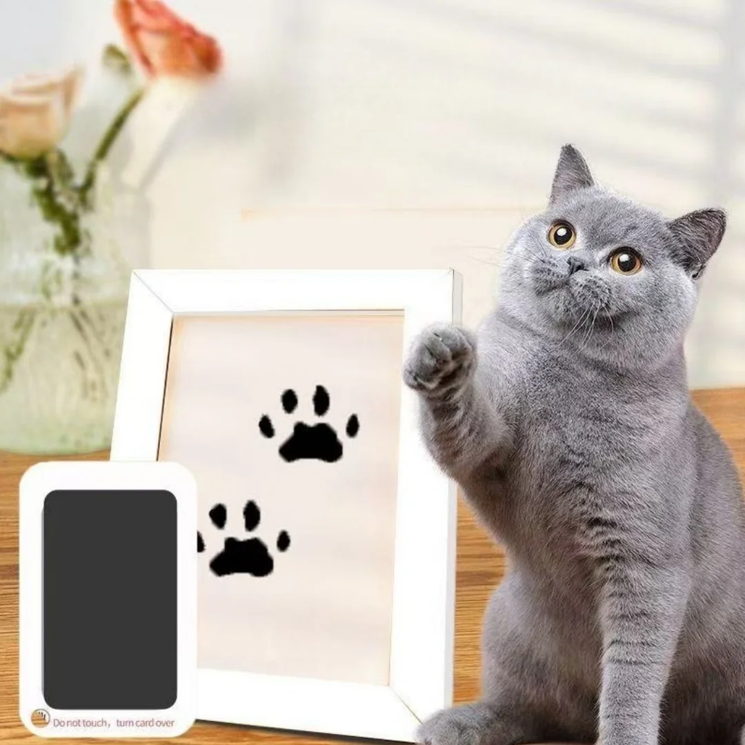 Claw print cleaning touch ink board set, pet owner souvenir, DIY ink free paw print and nose print module, four piece set