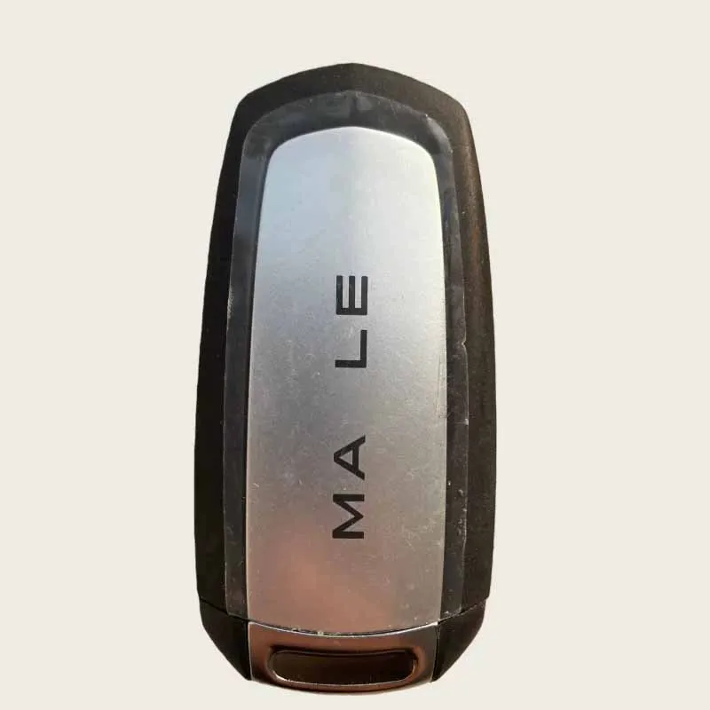For Geely Panda Mini LIVAN X3Pro LIVAN Maple 30X LIVAN Maple Star Enjoy OEM Keyless Entry Smart Remote Car Key Fob 47Chip 433MHz