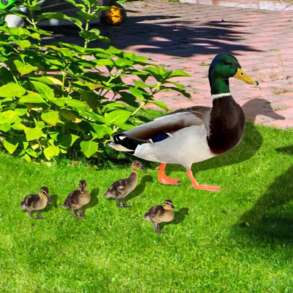 Acrylic Duck Stakes 5Pcs/Set Eco-friendly Simulation Long Lasting  Outdoor Courtyard Acrylic Duck Stakes Outdoor Decor