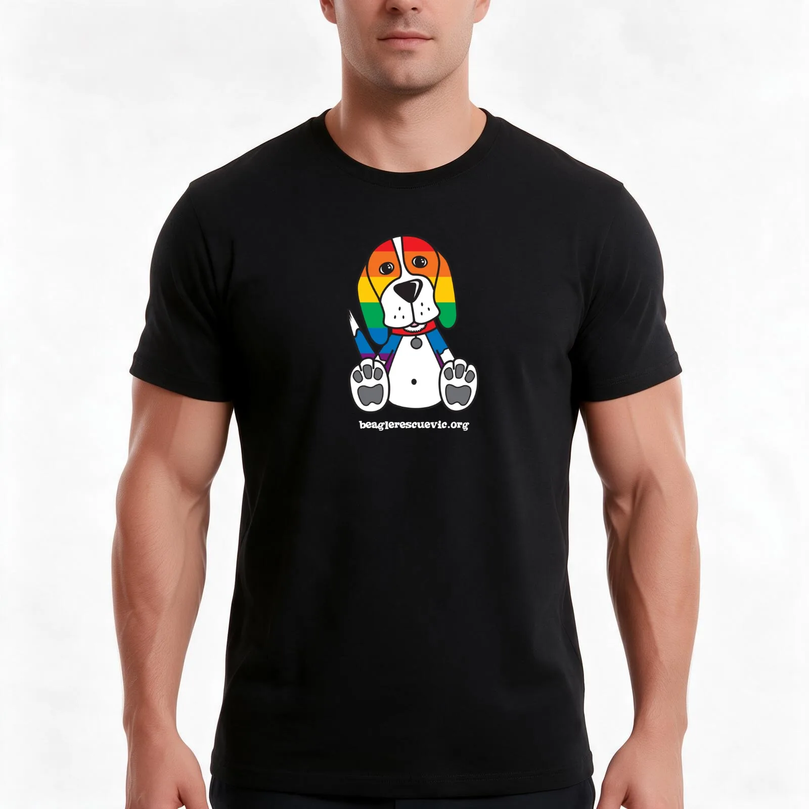 Pride Range T-Shirt, Summer Casual Cotton Tee, Oversized Streetwear Tops, Vintage Graphic Print, Loose Fit Short Sleeve