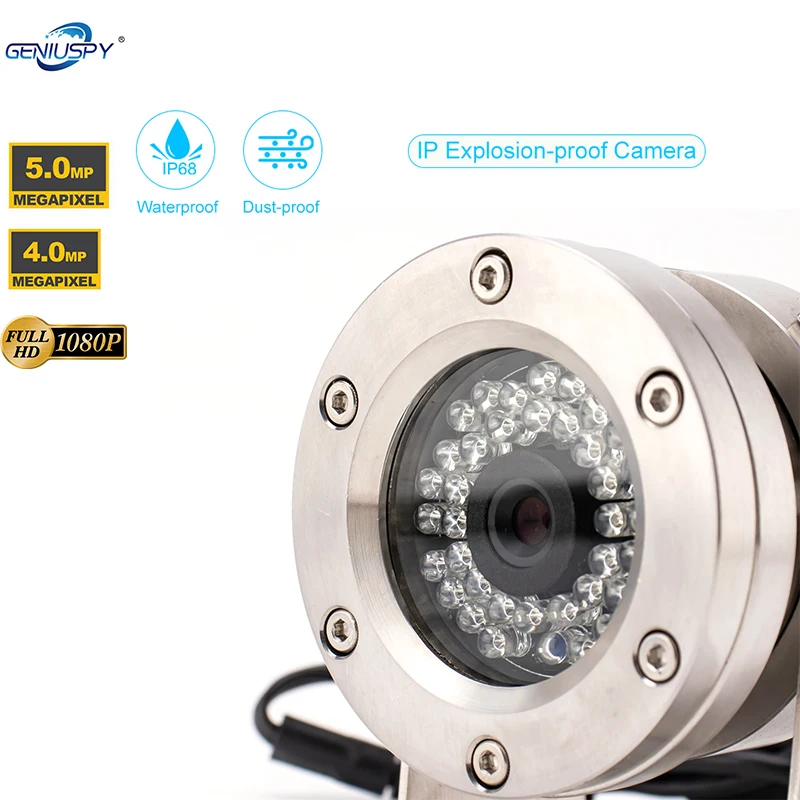 EX 5MP 4MP 2MP 1080P Vandal-proof Network Cctv Camera Stainless Steel Explosion Proof IP Camera For Hazardous Area