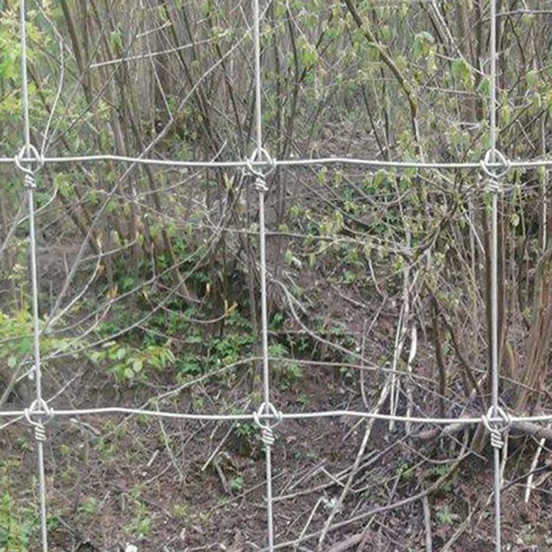 1.5Mx50M 100m Galvanized Fixed Knot Wire Mesh Farm Fence 8Ft Tall Farm Cattle Fence Curved Garden Wire Mesh Panel Farm Fencing