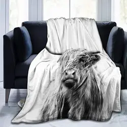 Highland Cow Blanket,Highlander Animal Scotland Scottish Horns Bull Cattle Warm Cozy Throw for All Seasons for Couch Bed Sofa