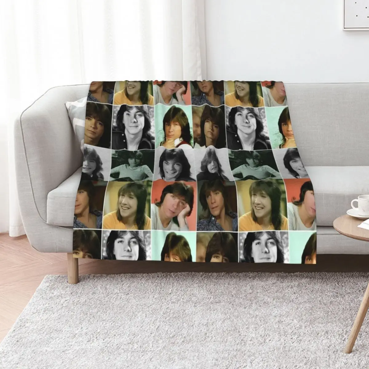 

david cassidy aesthetic collage Throw Blanket Plush Stuffeds Beach Heavy Blankets